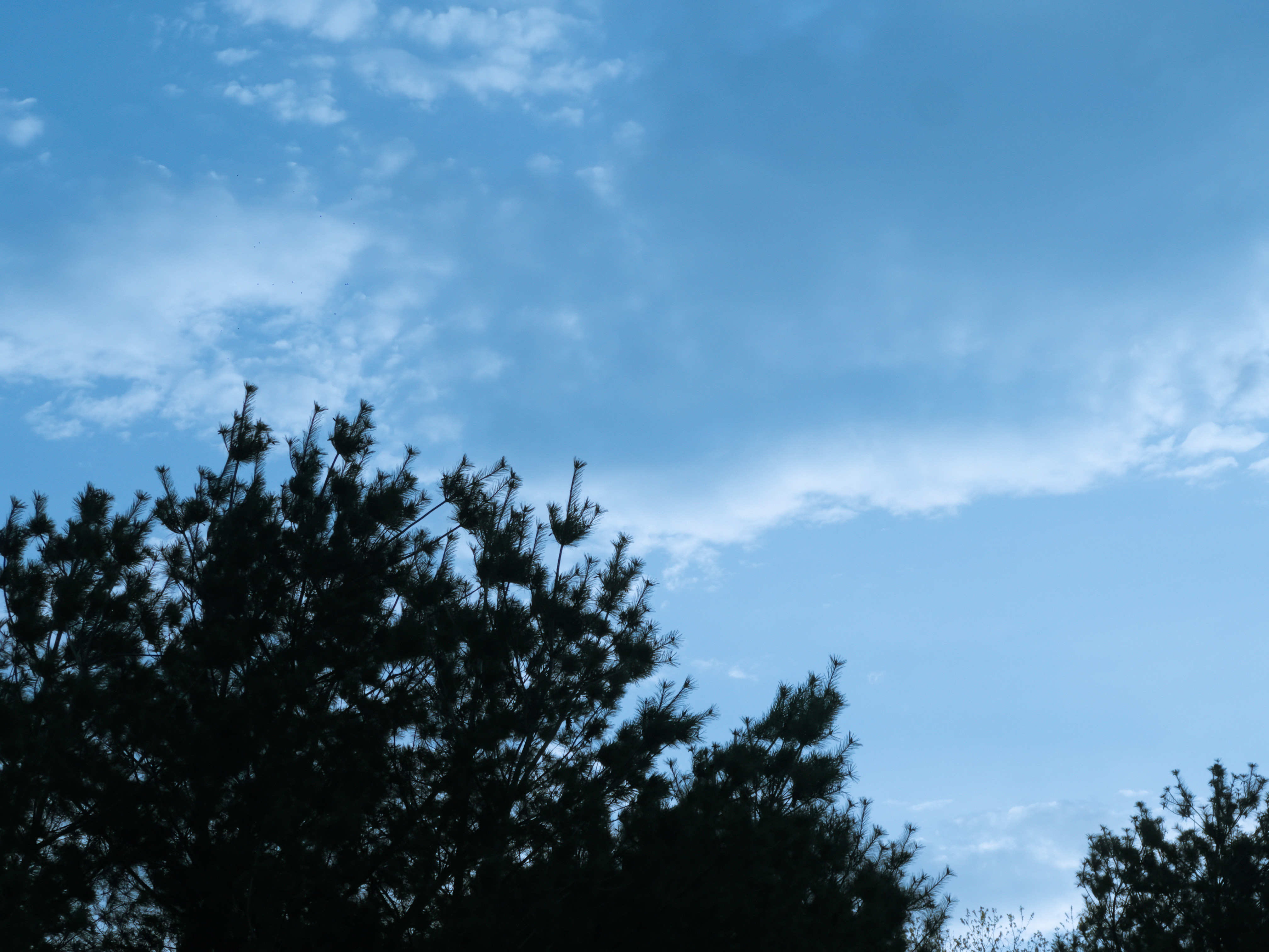 skies